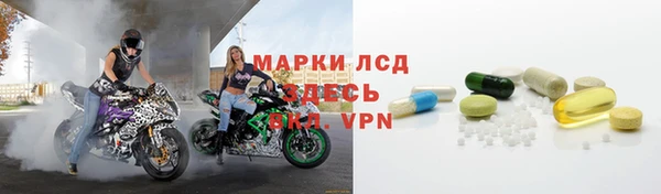 прущие грибы Балахна