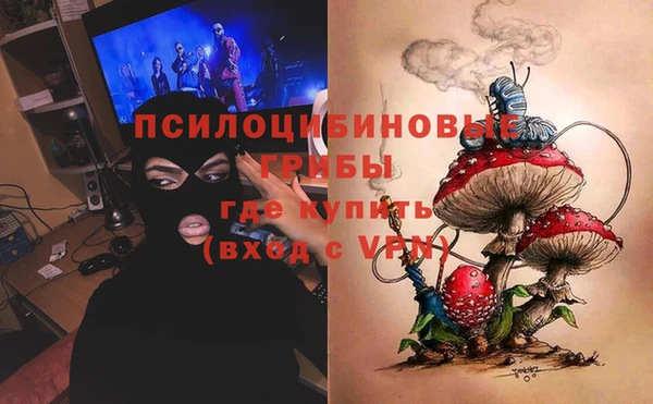 прущие грибы Балахна