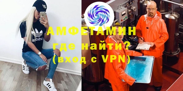 прущие грибы Балахна