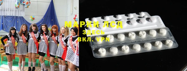 прущие грибы Балахна